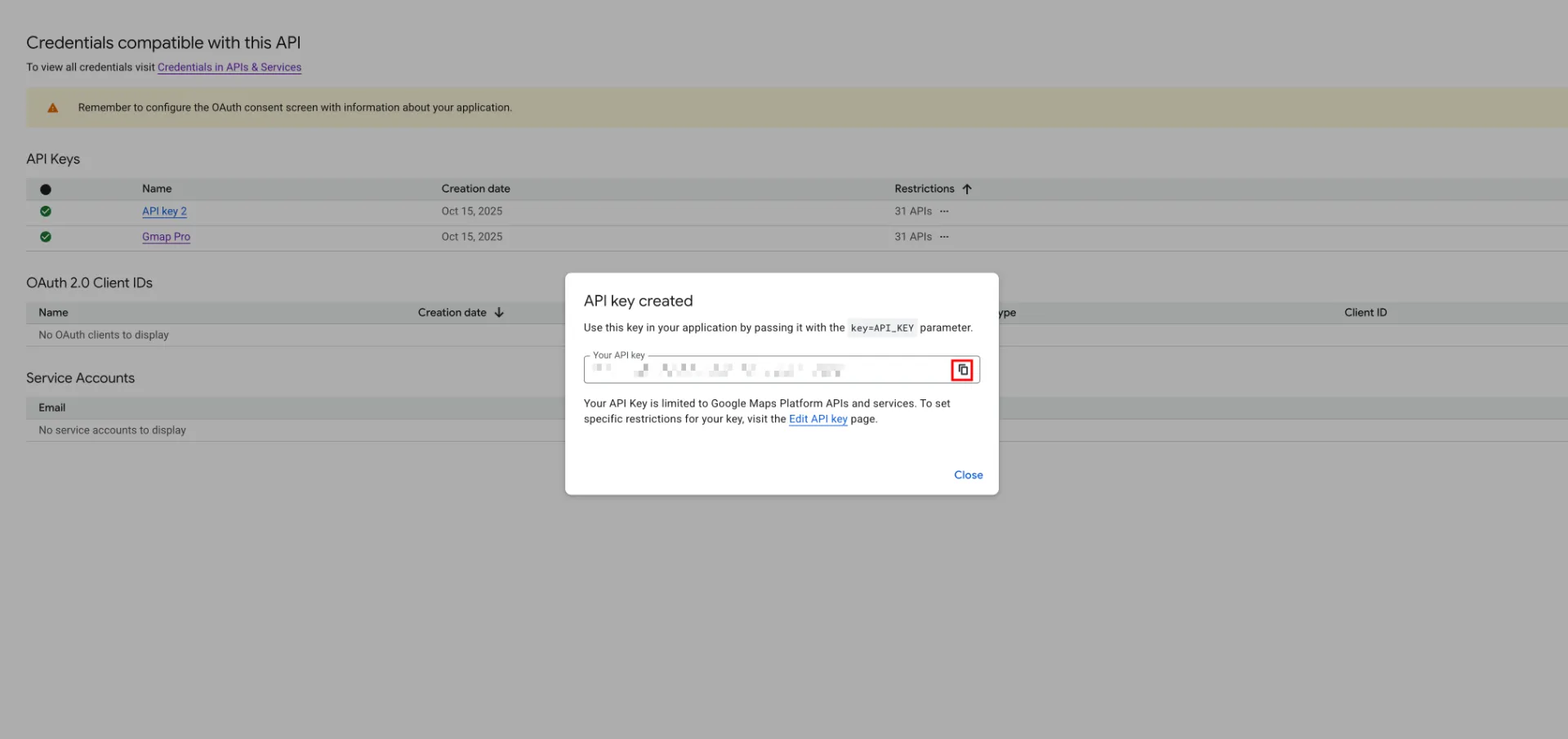 copy api key